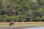 Wilpattu National Park 20th to 22nd July 2024