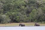 Wilpattu National Park 20th to 22nd July 2024